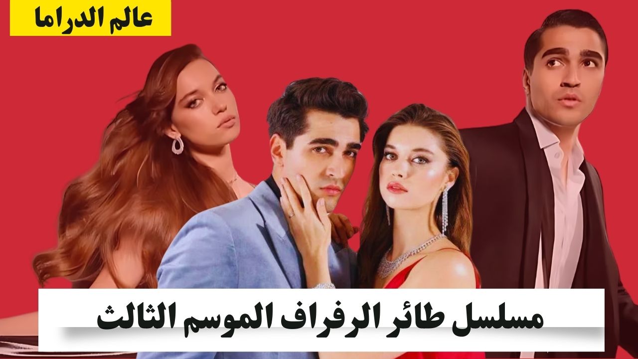 طائر الرفراف: الموسم الثالث